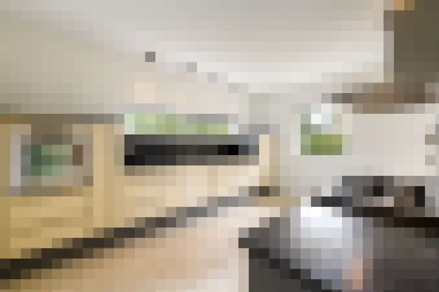 Steiger 10 Joure thumbnail 14