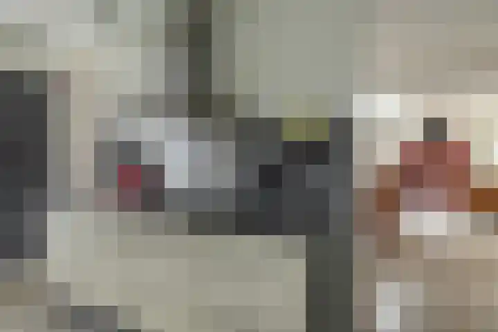 Steiger 10 Joure thumbnail 15