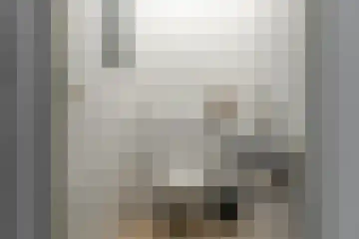 Steiger 10 Joure thumbnail 17