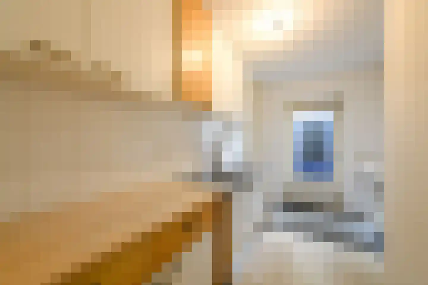 Steiger 10 Joure thumbnail 18