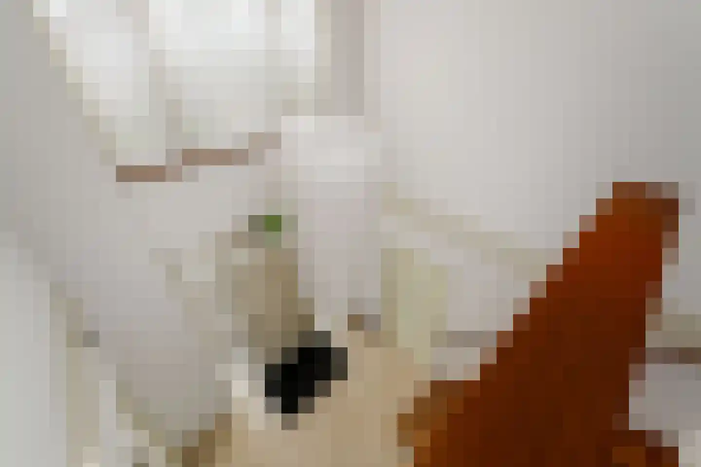 Steiger 10 Joure thumbnail 21