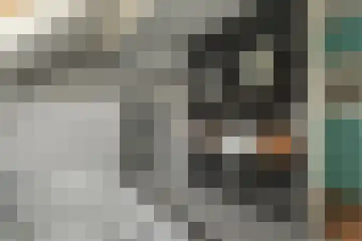 Steiger 10 Joure thumbnail 22