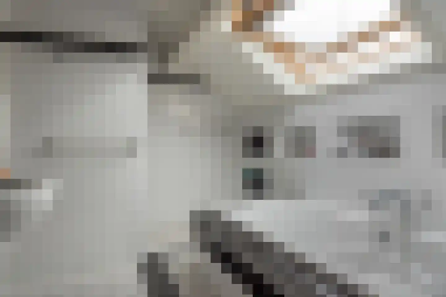 Steiger 10 Joure thumbnail 24