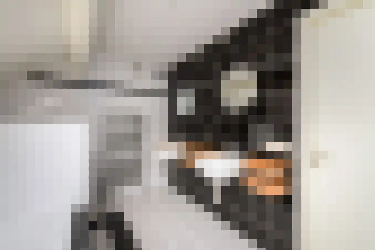 Steiger 10 Joure thumbnail 27