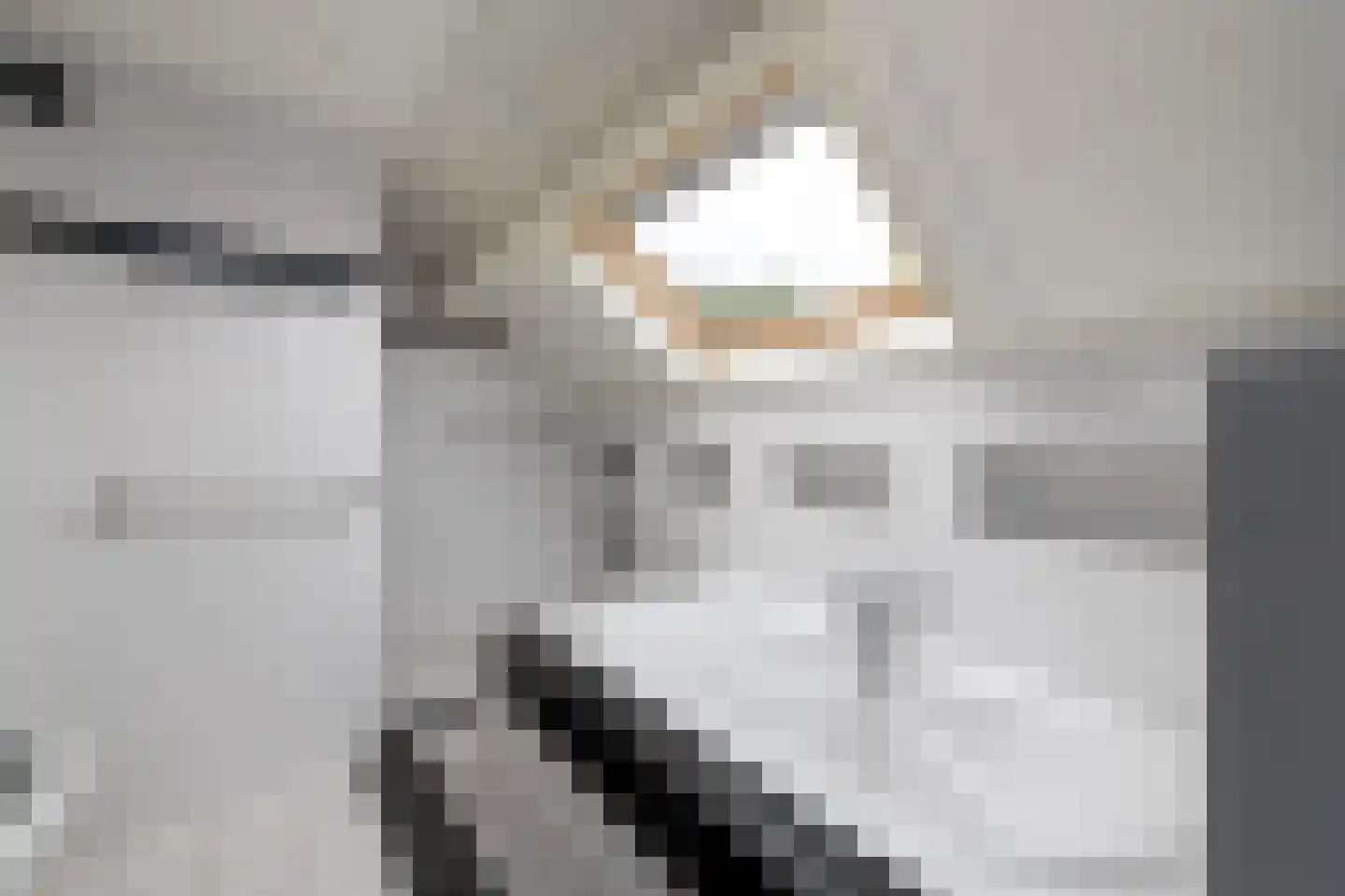Steiger 10 Joure thumbnail 28