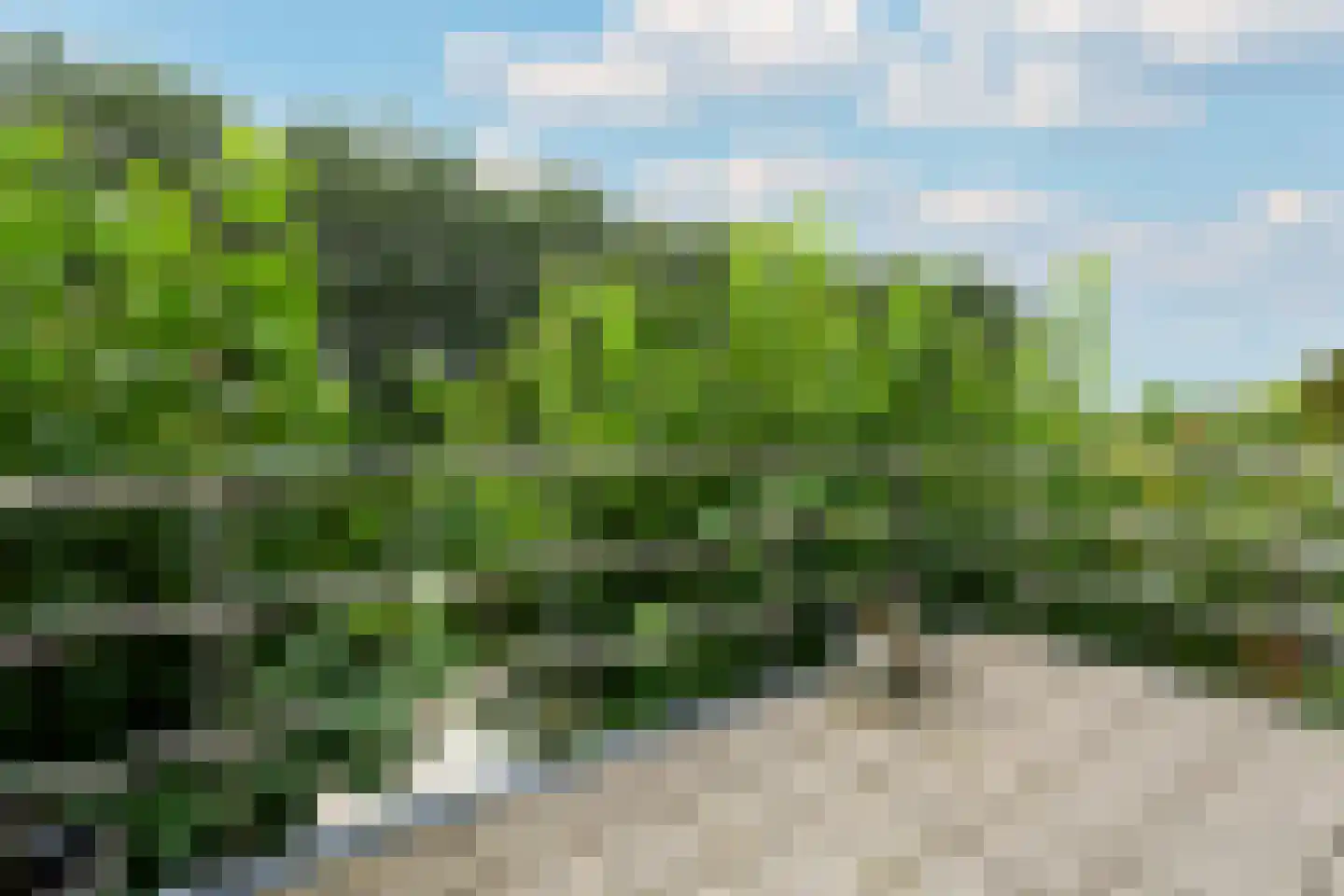 Steiger 10 Joure thumbnail 31