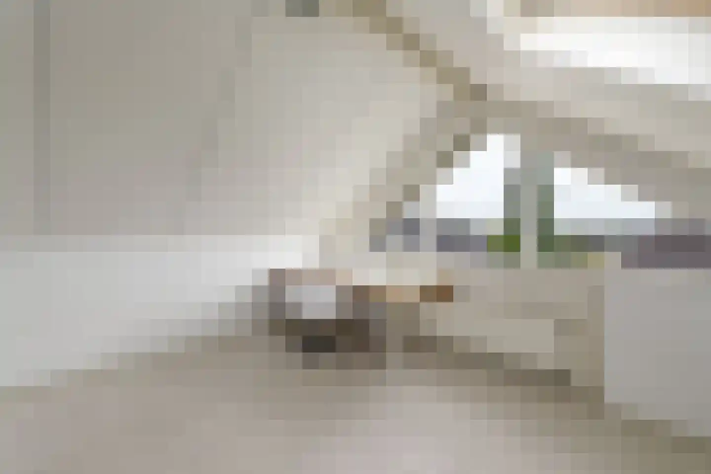 Steiger 10 Joure thumbnail 34
