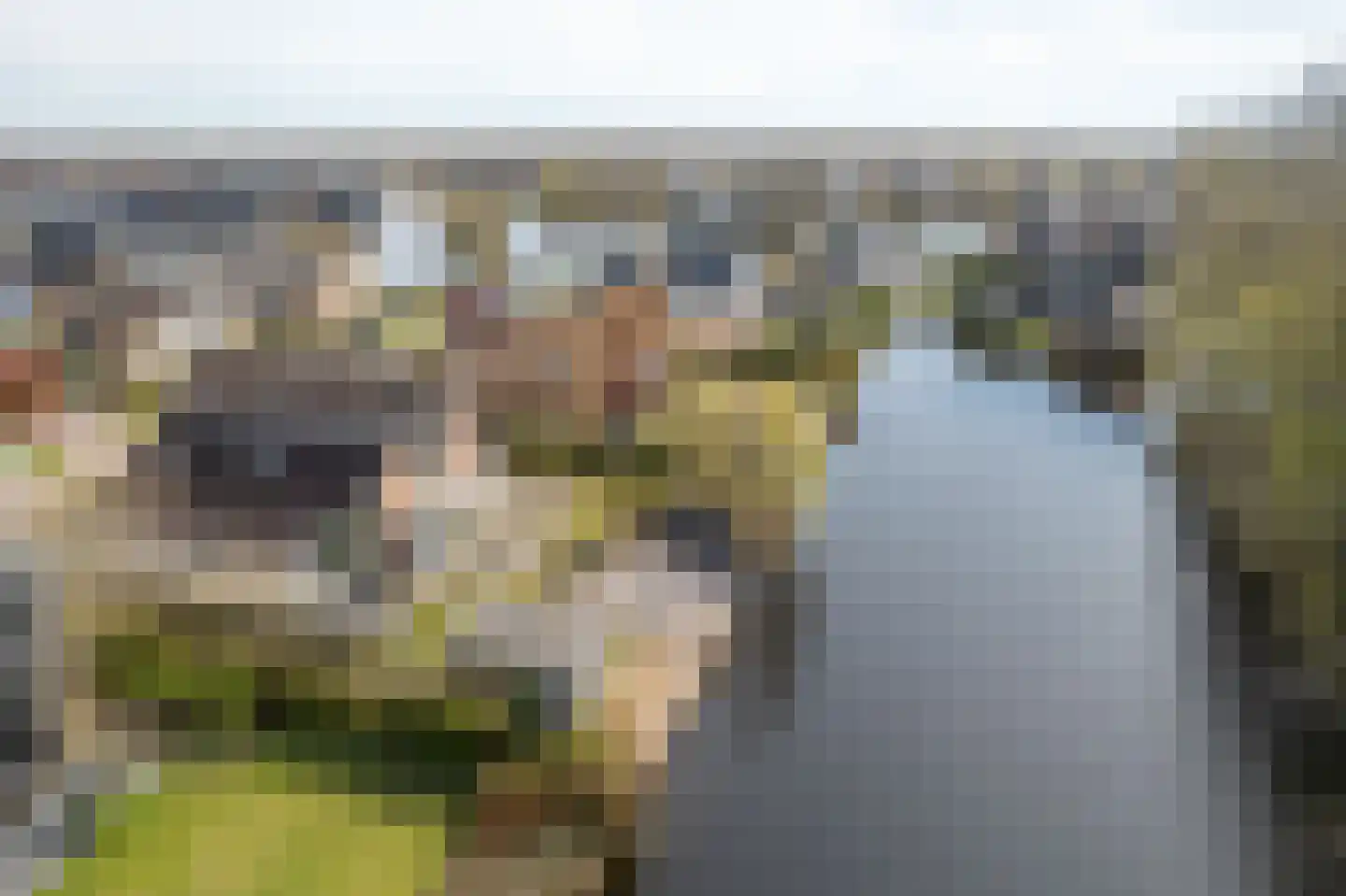 Steiger 10 Joure thumbnail 35