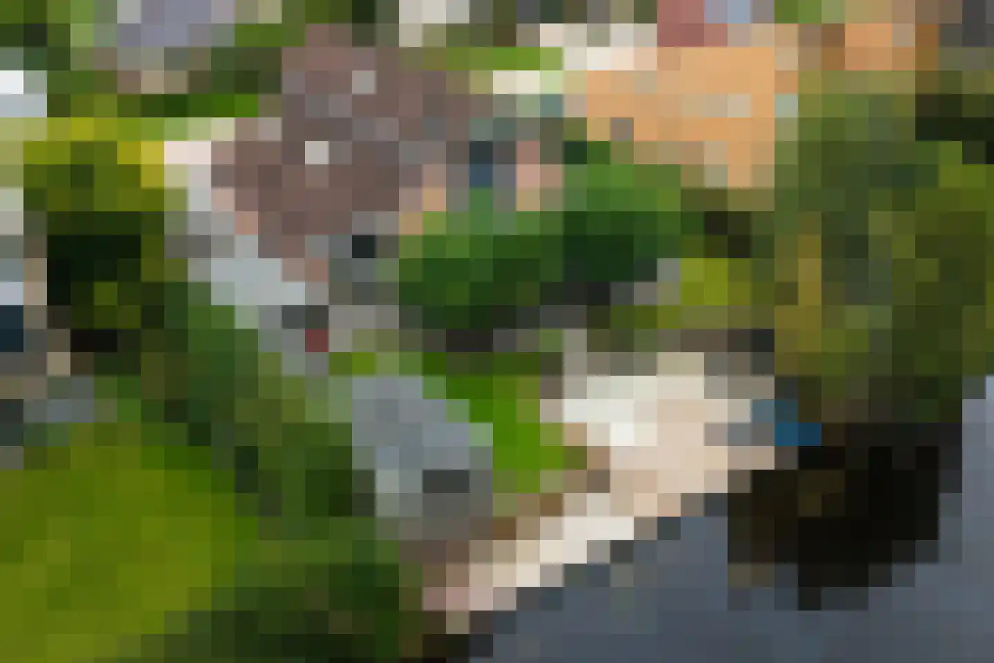 Steiger 10 Joure thumbnail 35