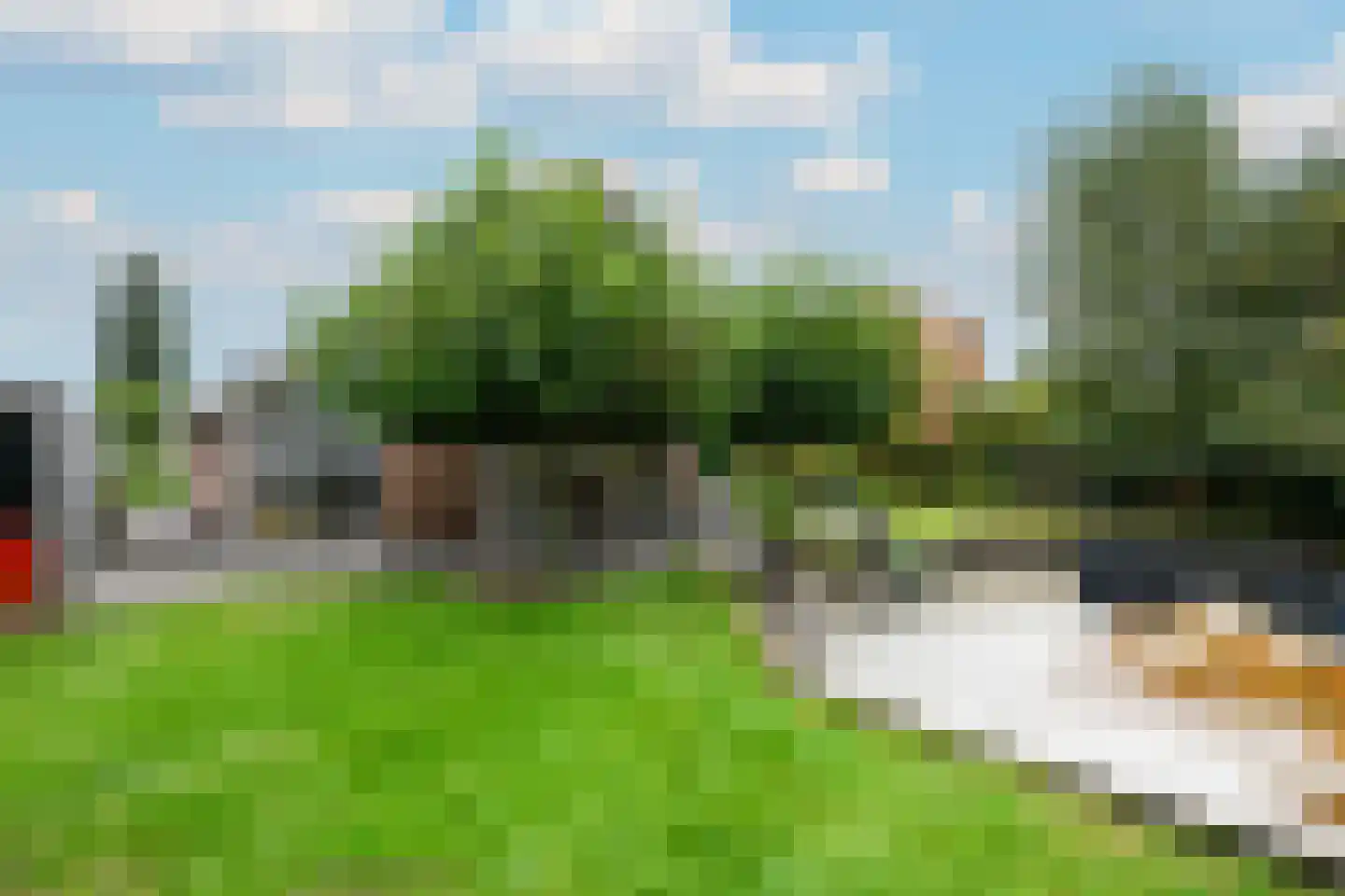 Steiger 10 Joure thumbnail 37