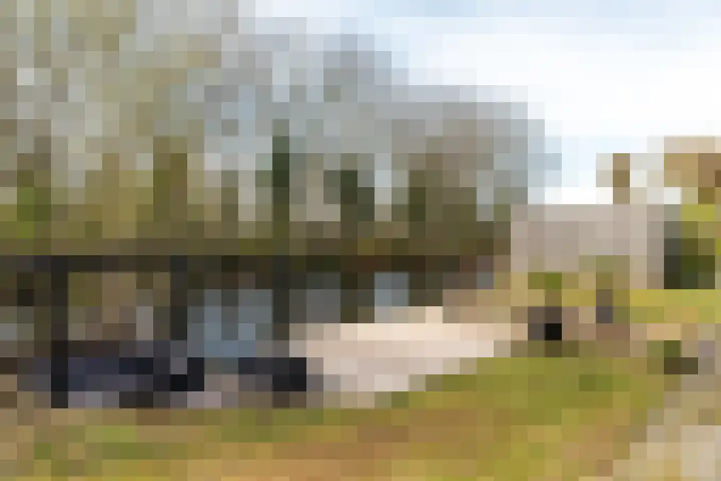 Steiger 10 Joure thumbnail 38