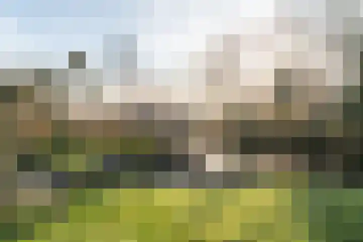 Steiger 10 Joure thumbnail 39