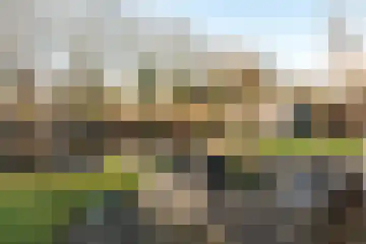 Steiger 10 Joure thumbnail 40