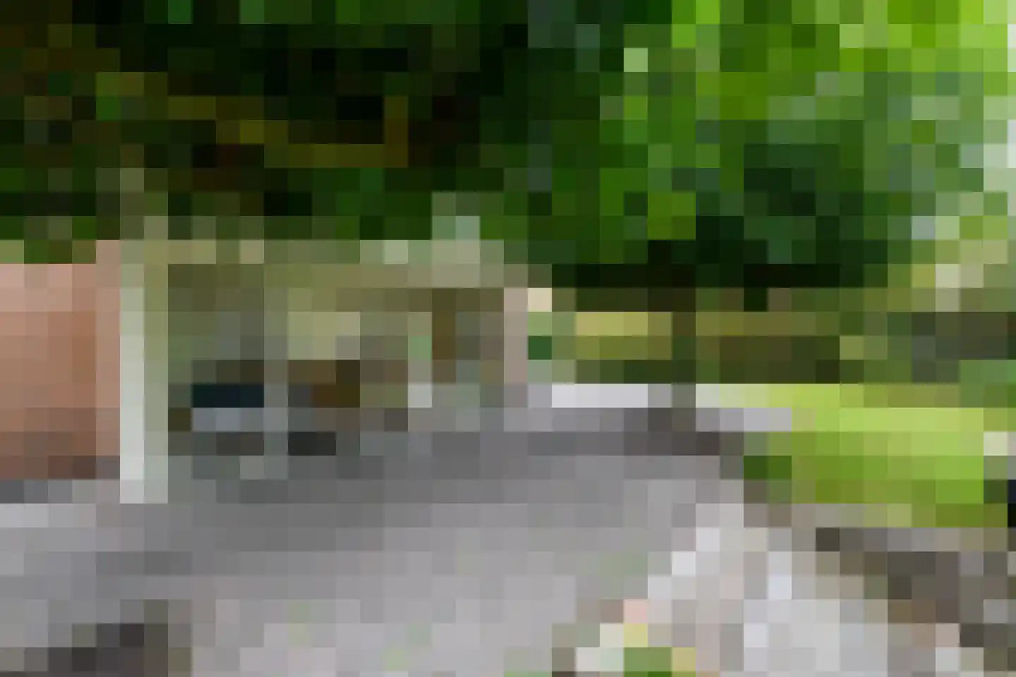 Steiger 10 Joure thumbnail 42