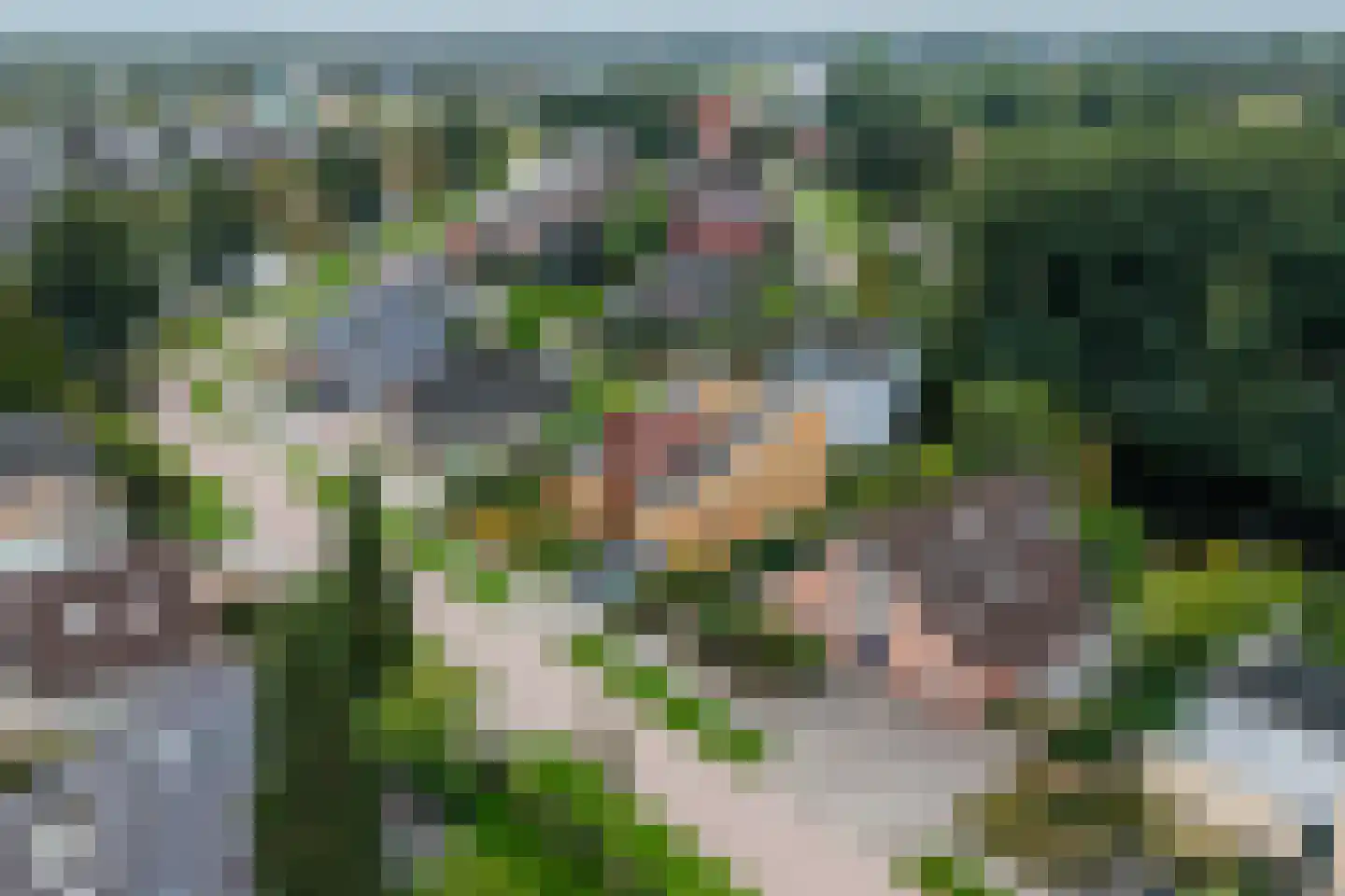 Steiger 10 Joure thumbnail 43