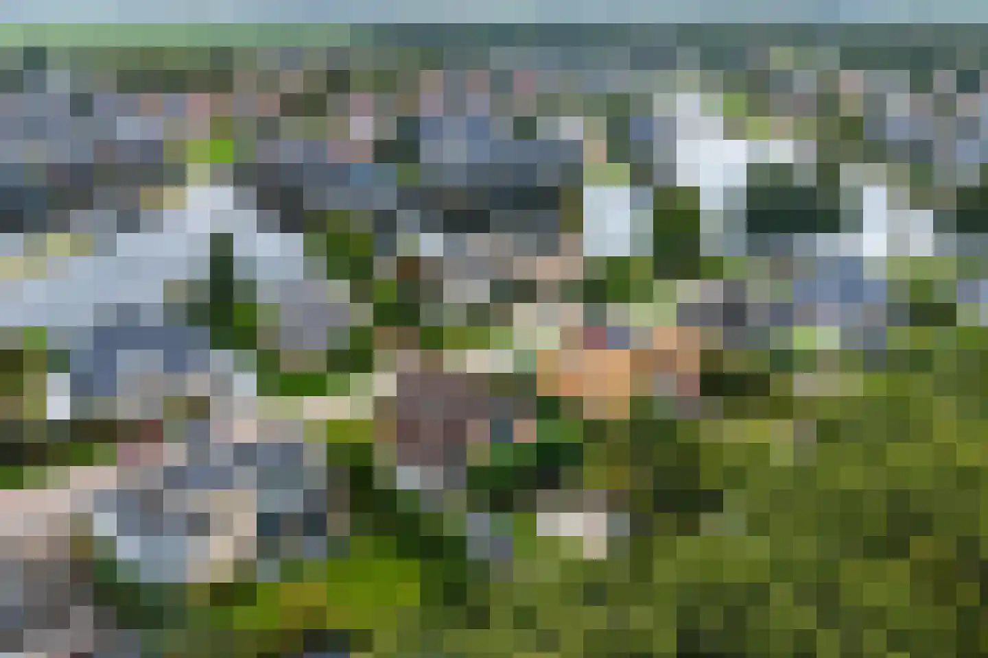 Steiger 10 Joure thumbnail 44