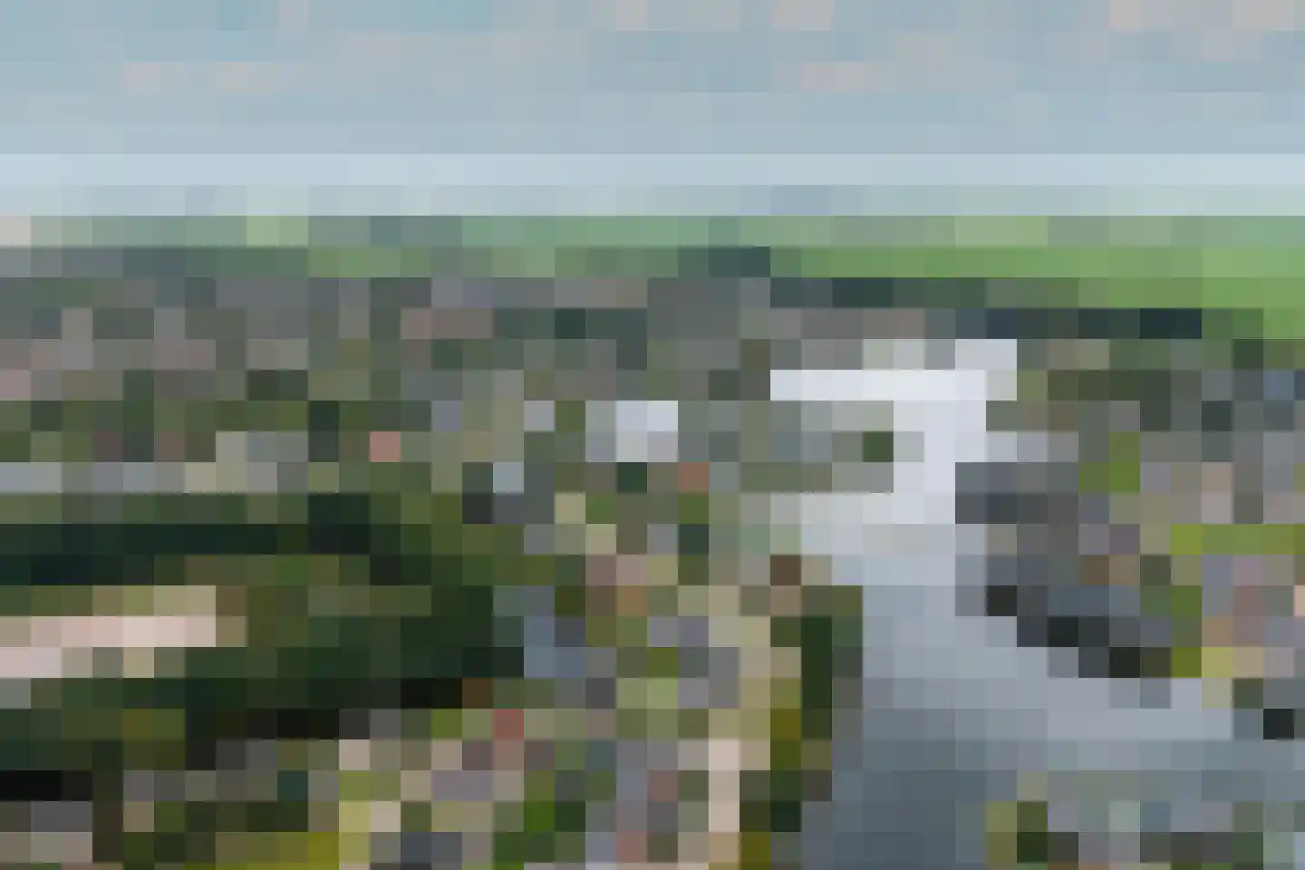 Steiger 10 Joure thumbnail 47