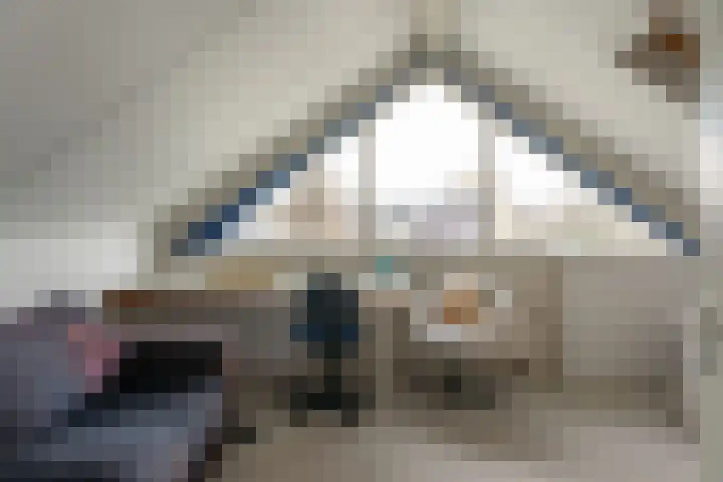 Steiger 10 Joure thumbnail 6