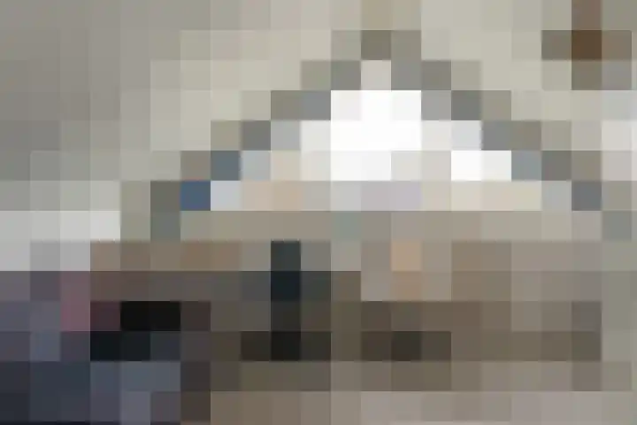 Steiger 10 Joure thumbnail 6