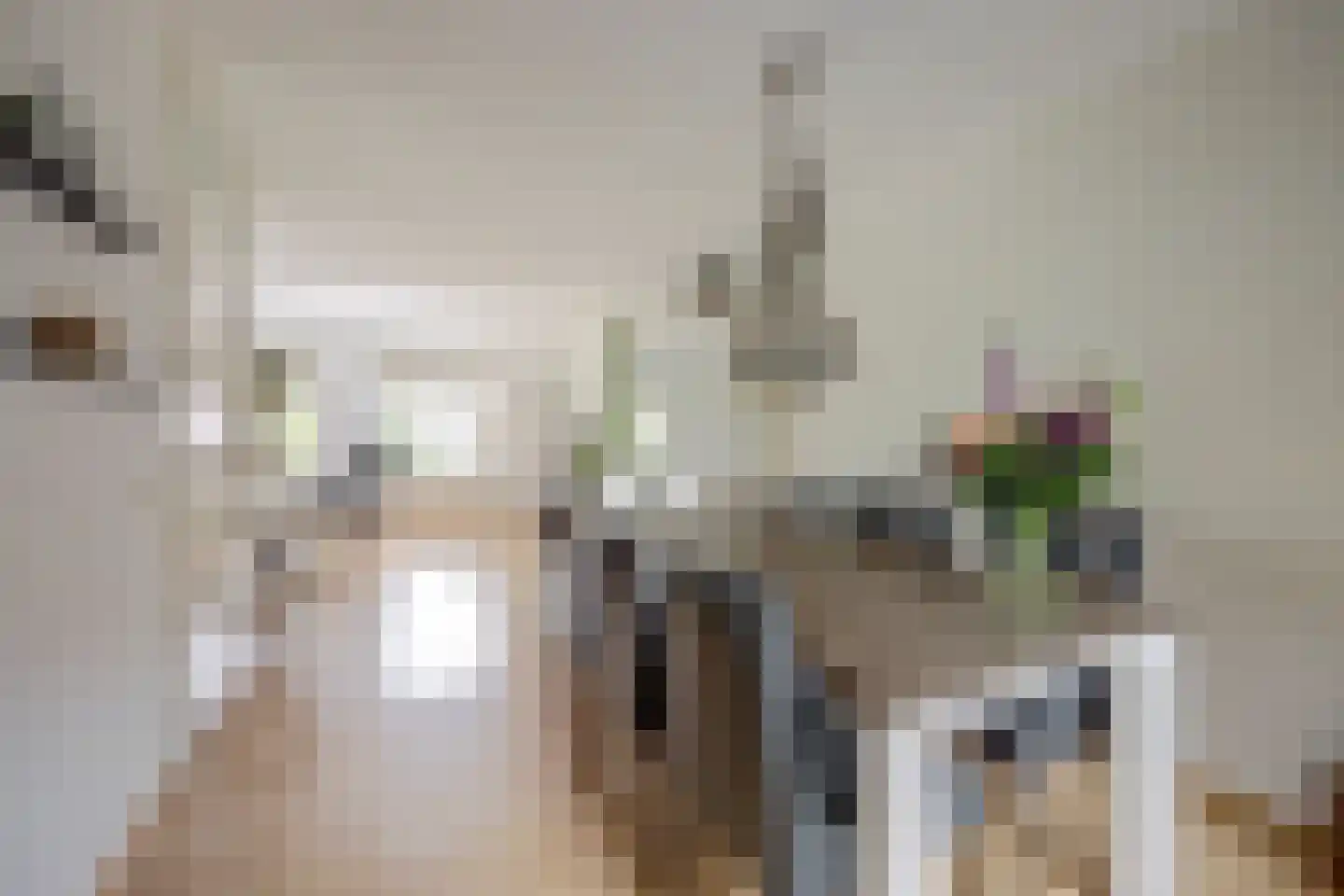 Steiger 20 Vollenhove thumbnail 14