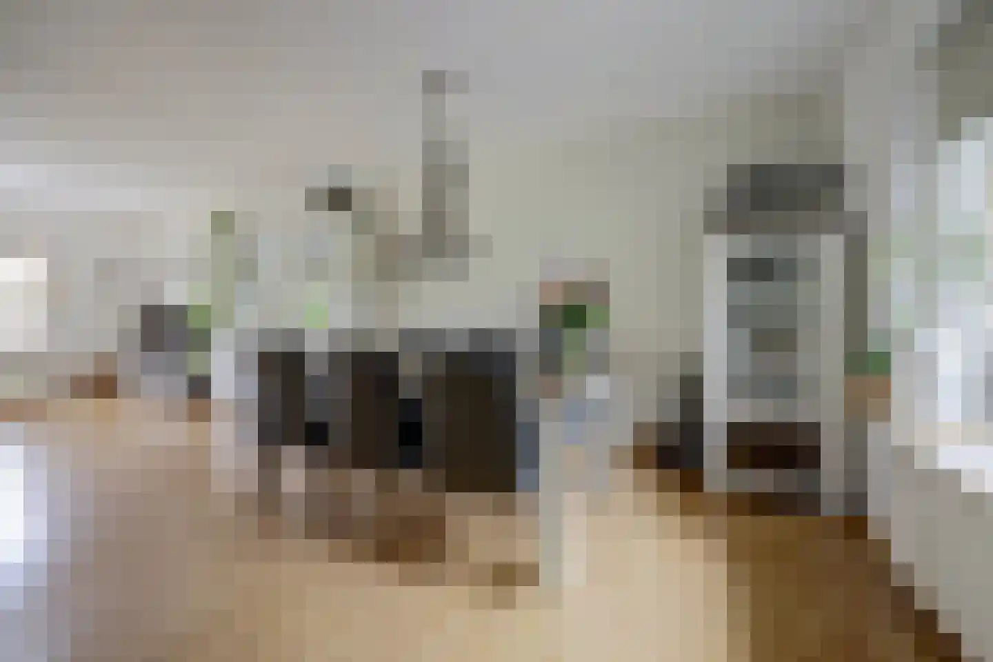 Steiger 20 Vollenhove thumbnail 16