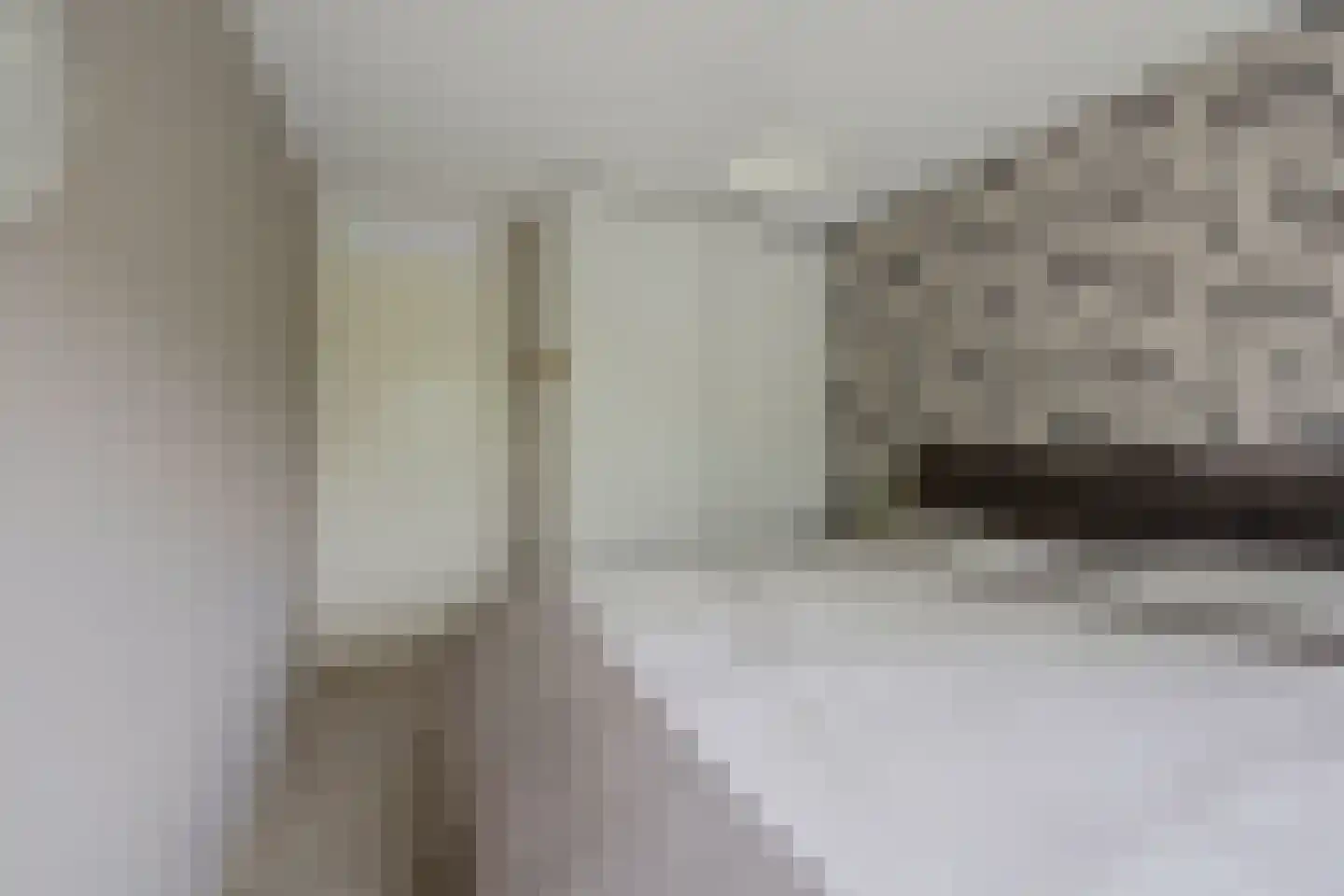 Steiger 20 Vollenhove thumbnail 26
