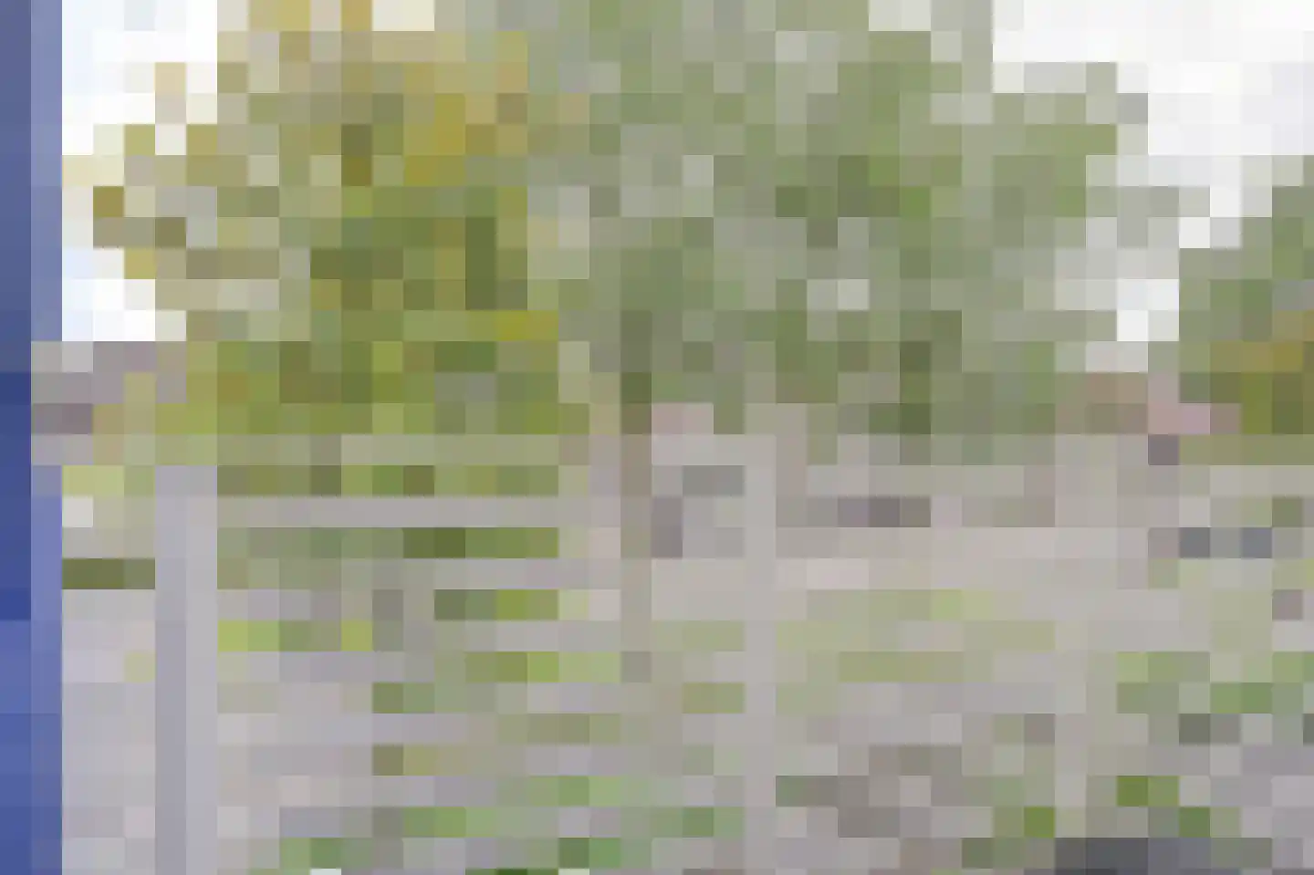Steiger 20 Vollenhove thumbnail 27