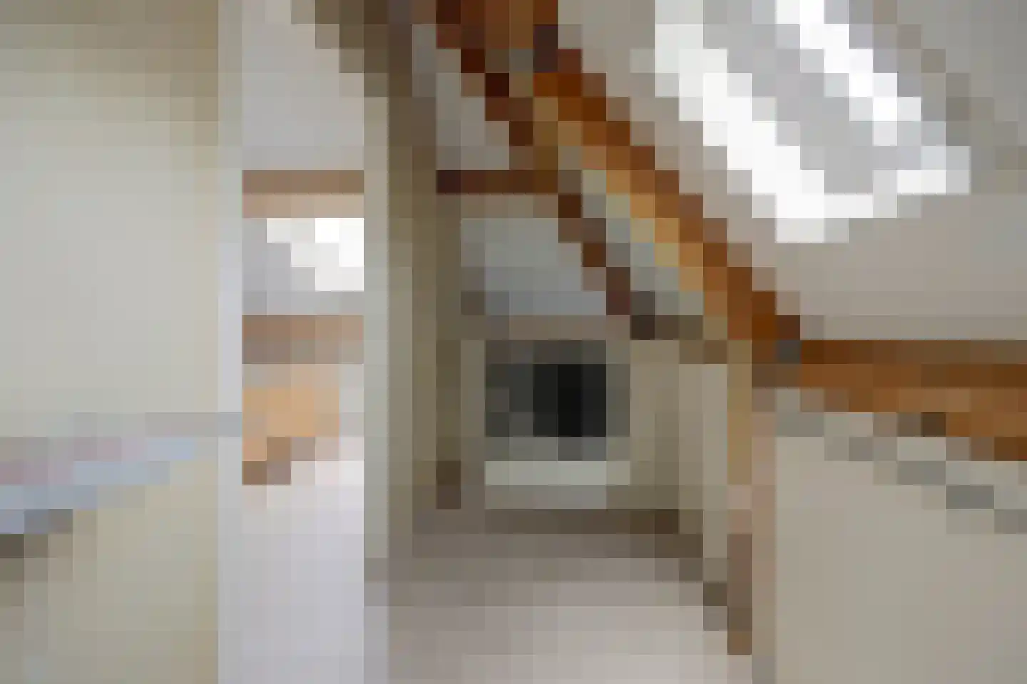 Steiger 20 Vollenhove thumbnail 31