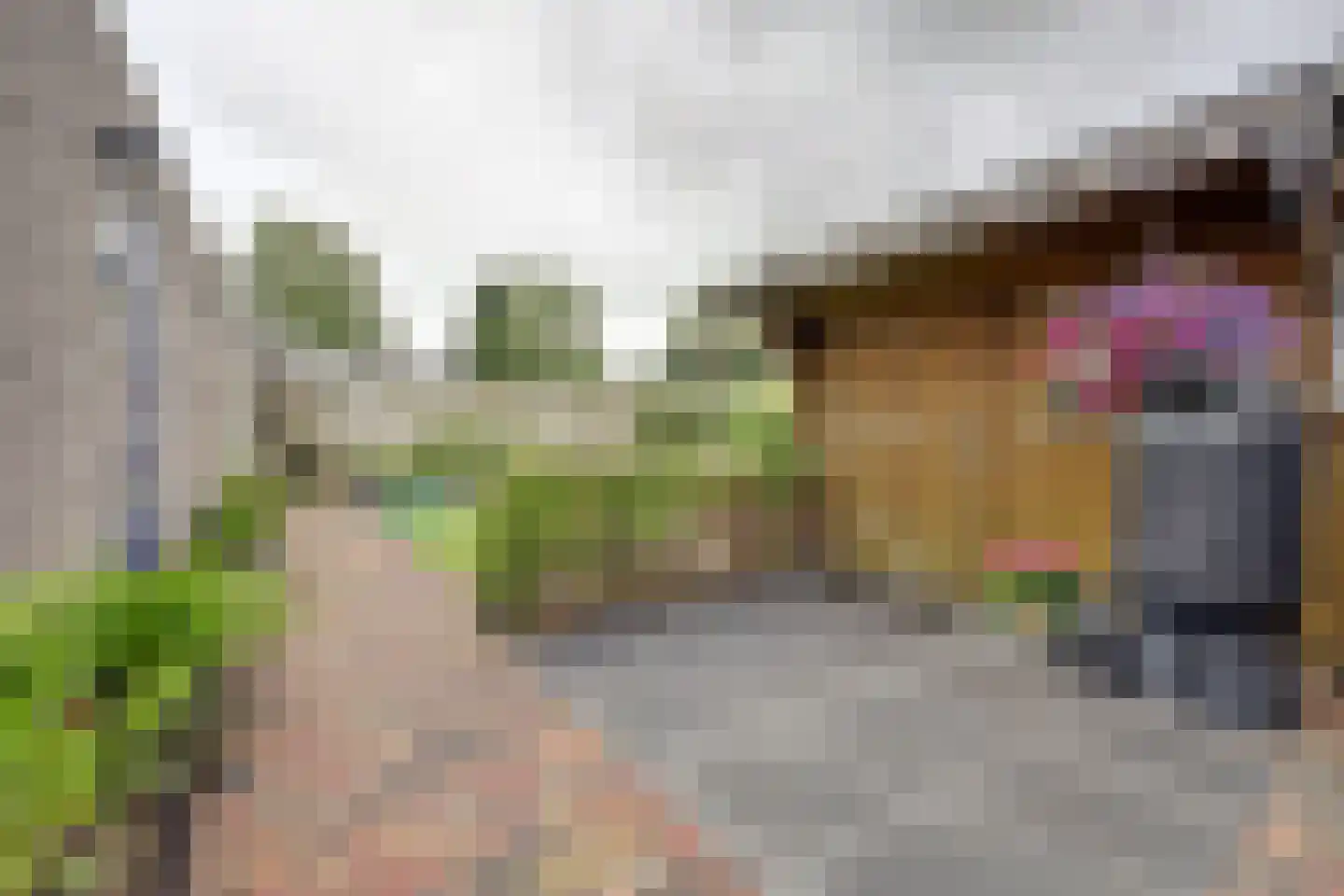 Steiger 20 Vollenhove thumbnail 42