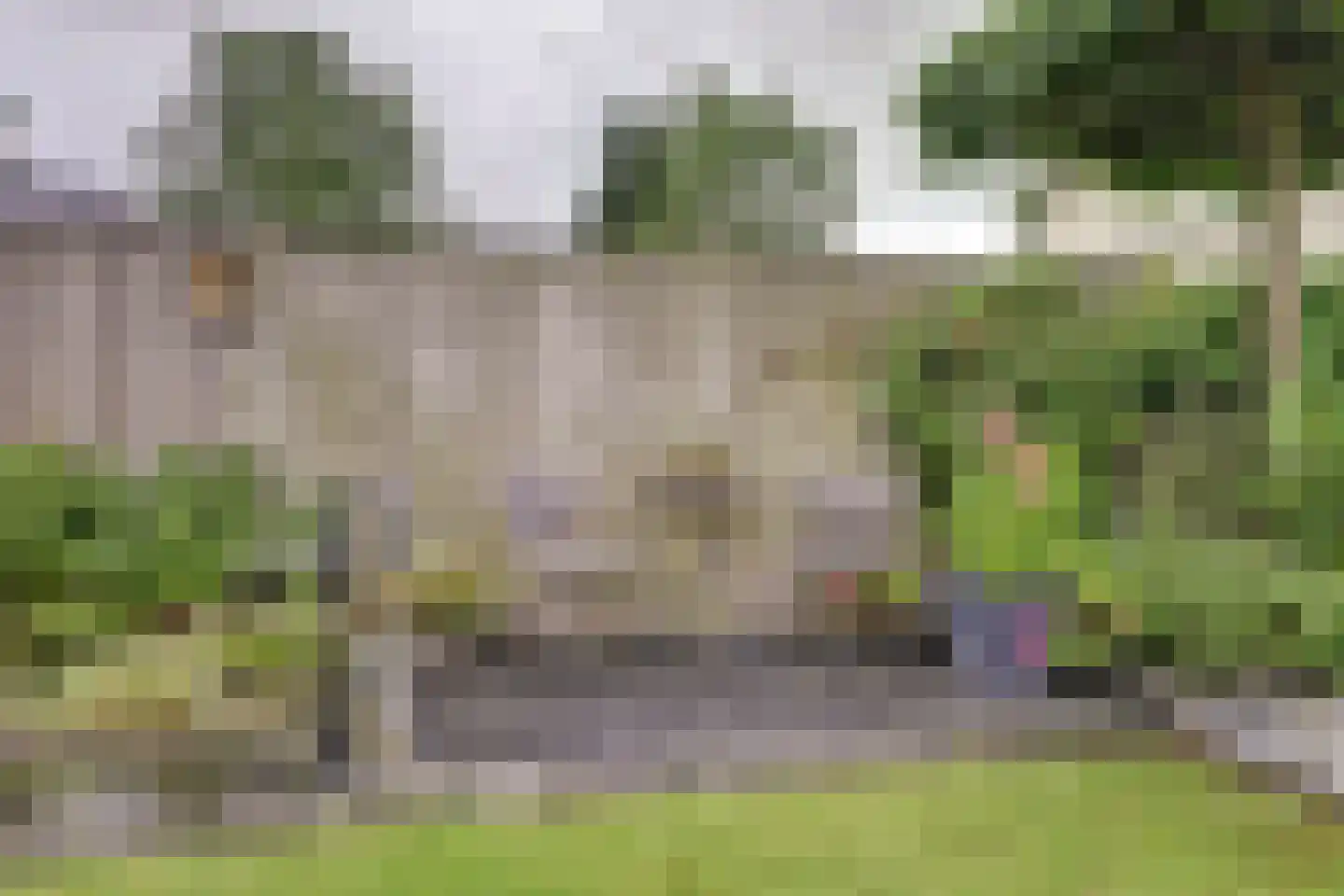 Steiger 20 Vollenhove thumbnail 43