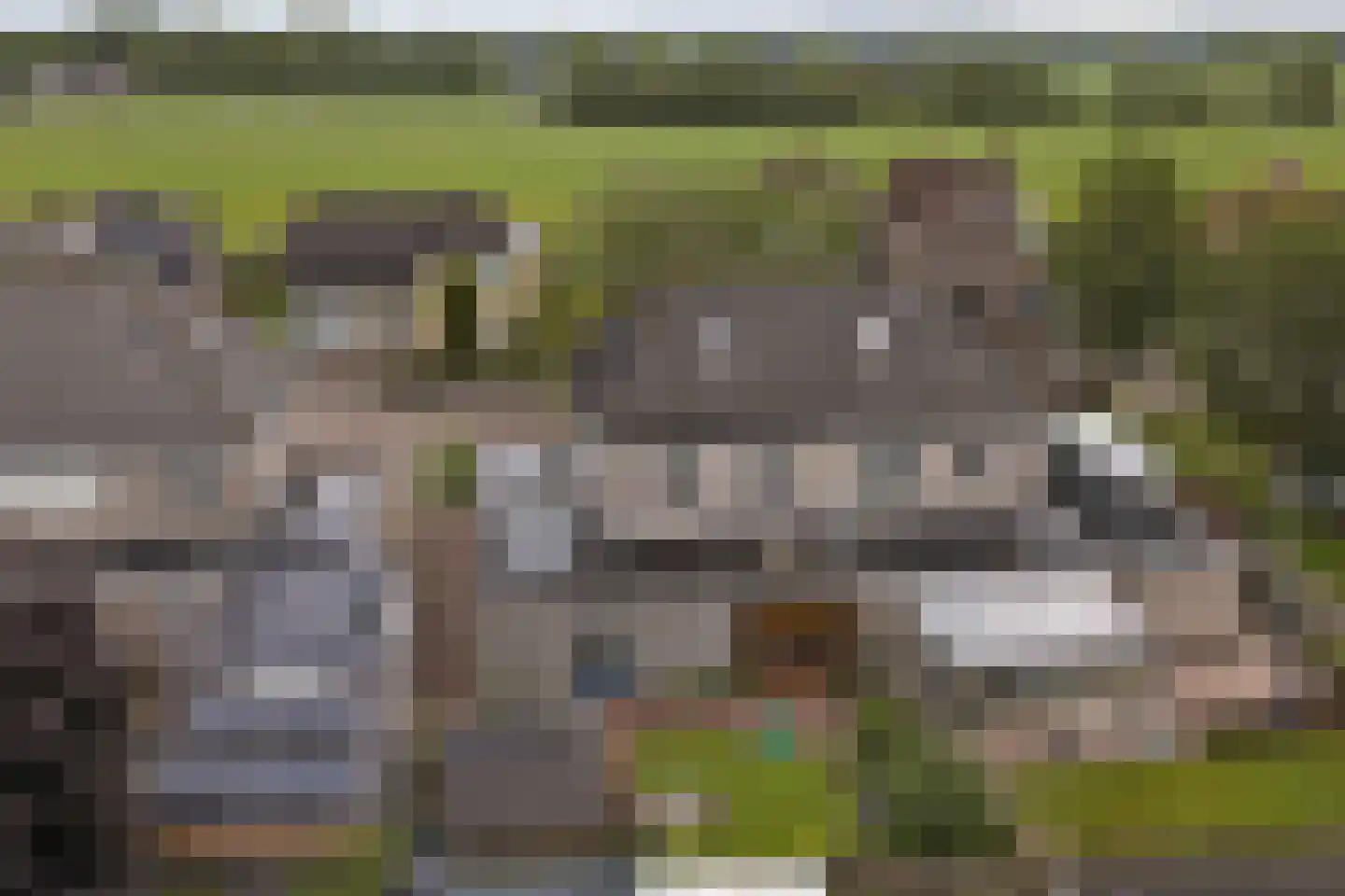 Steiger 20 Vollenhove thumbnail 46