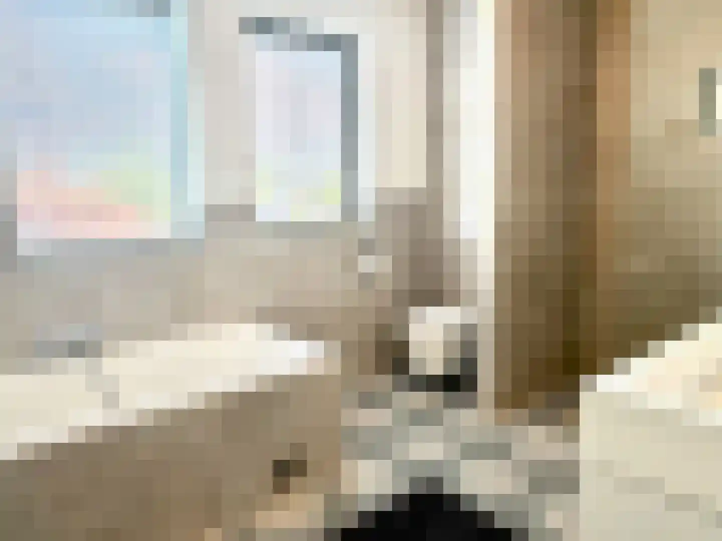 Steiger 33 Joure thumbnail 25