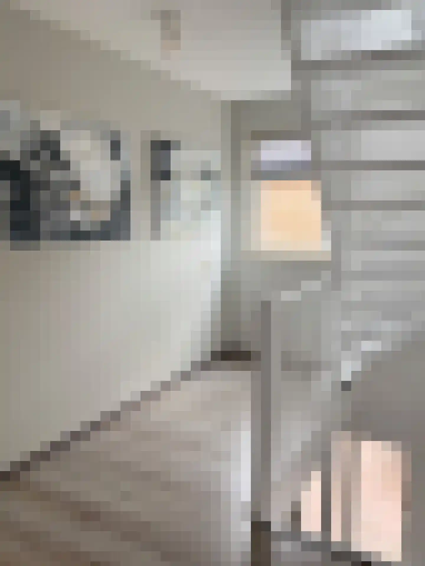 Steiger 33 Joure thumbnail 27