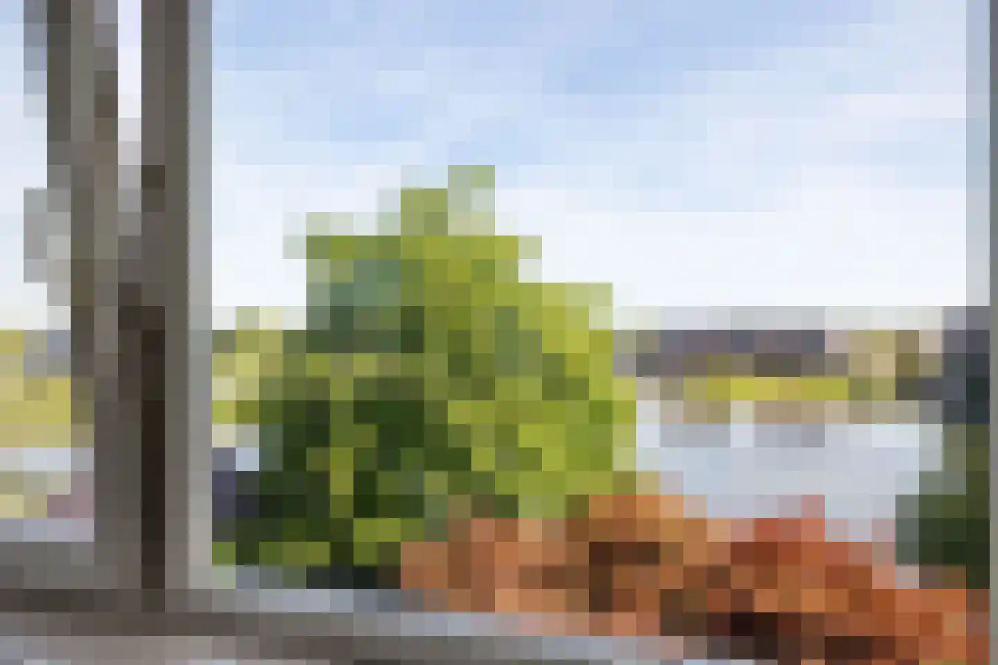Steiger 33 Joure thumbnail 30