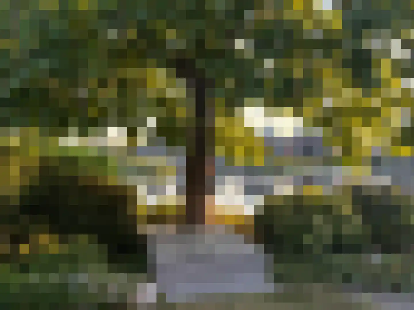 Steiger 33 Joure thumbnail 35