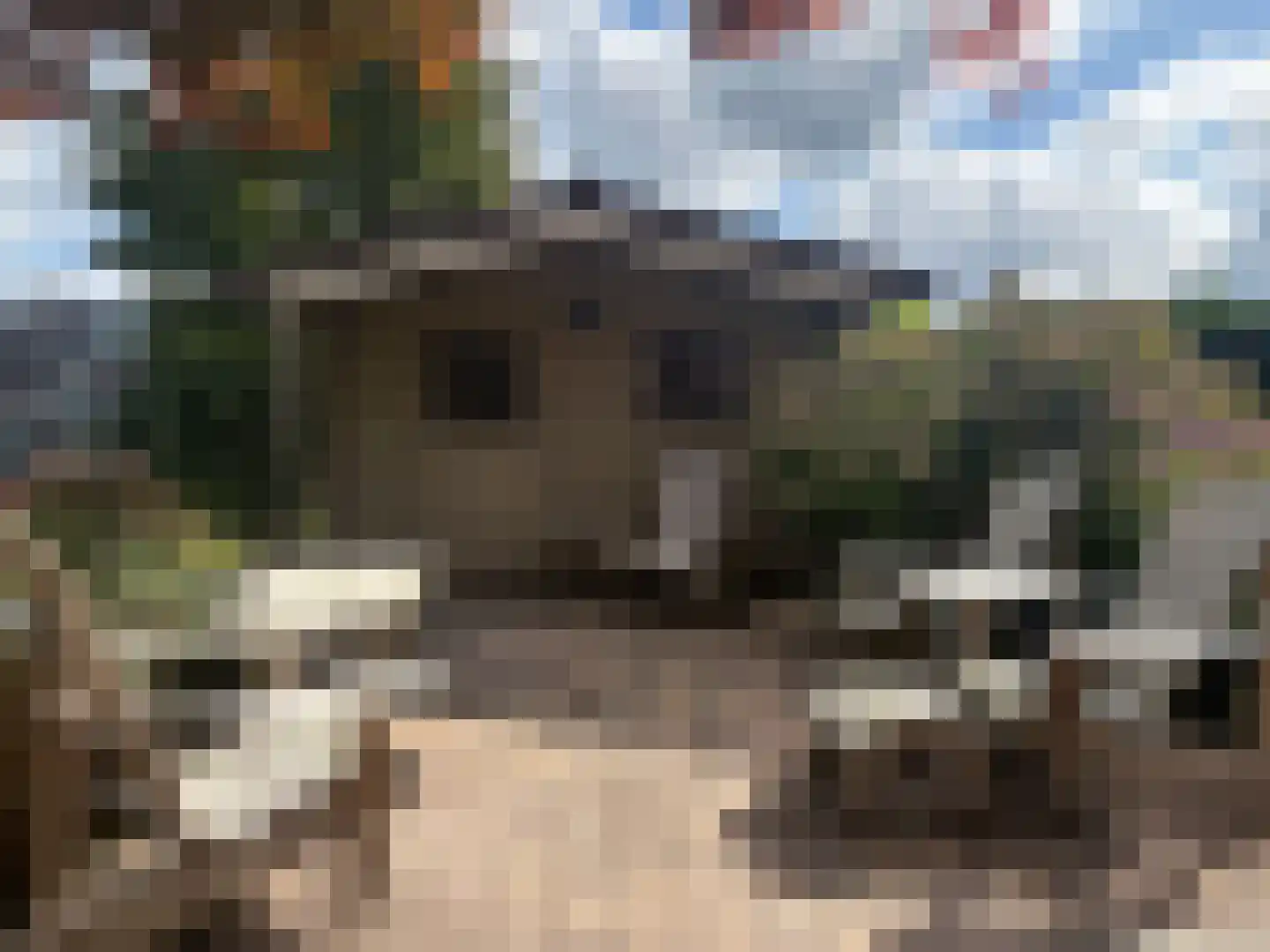 Steiger 33 Joure thumbnail 36