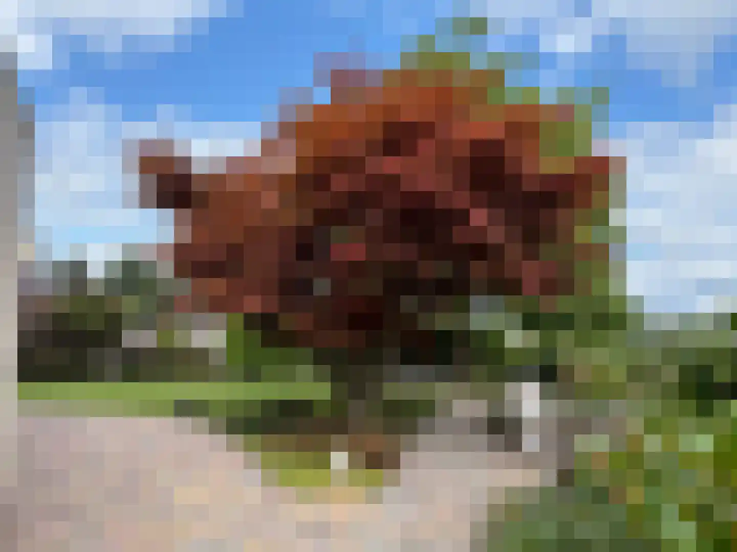 Steiger 33 Joure thumbnail 37