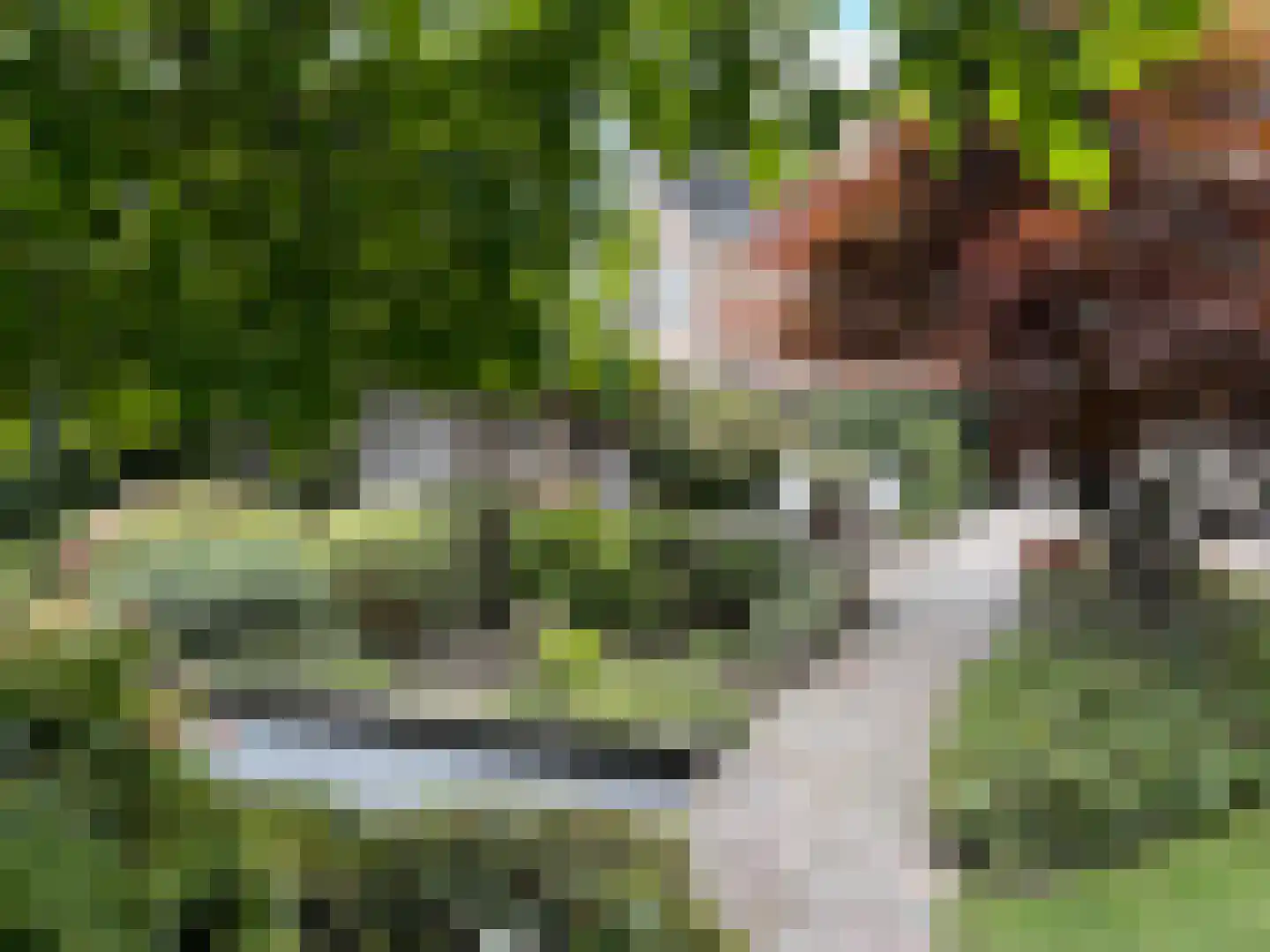 Steiger 33 Joure thumbnail 38