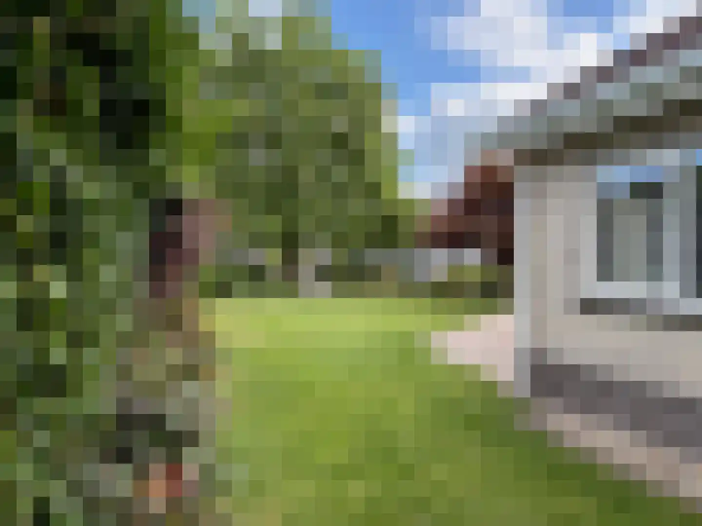 Steiger 33 Joure thumbnail 39