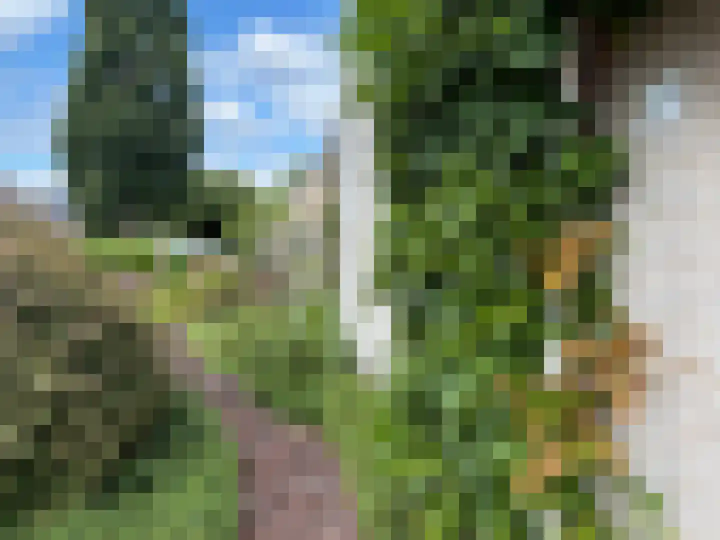 Steiger 33 Joure thumbnail 40
