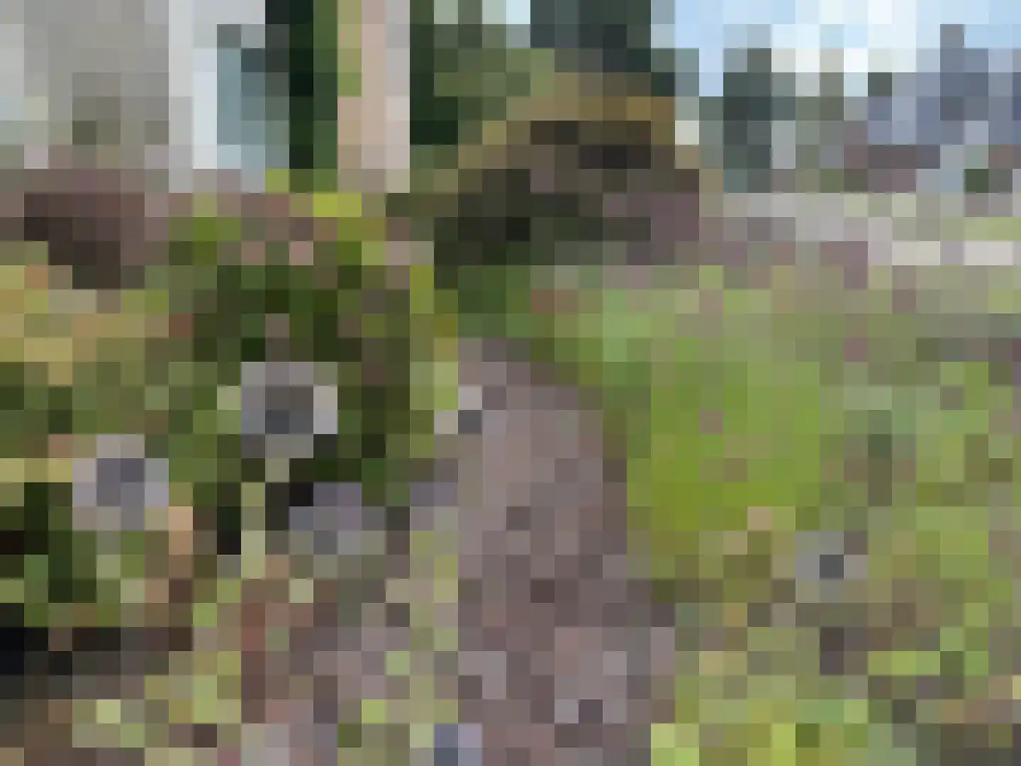 Steiger 33 Joure thumbnail 41