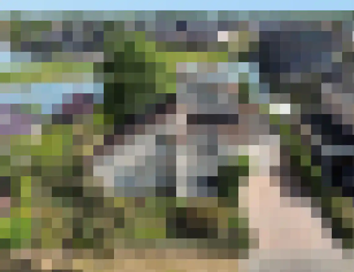 Steiger 33 Joure thumbnail 42