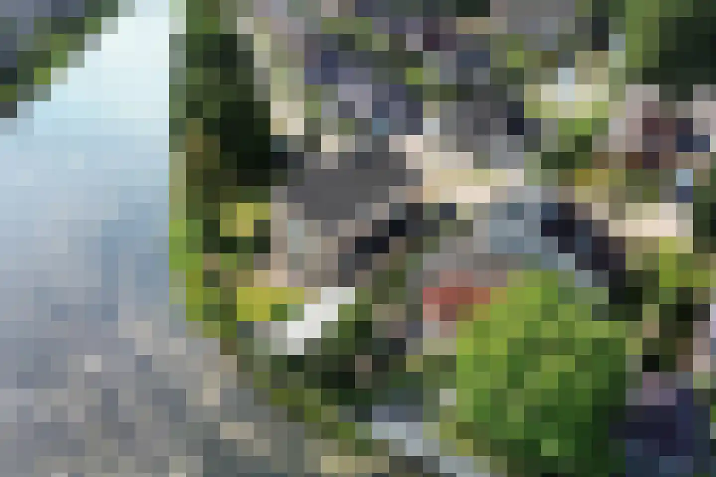 Steiger 33 Joure thumbnail 43