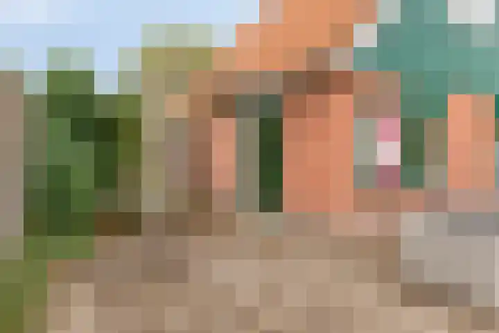 Steigerdijk 11 12 Ooltgensplaat thumbnail 27