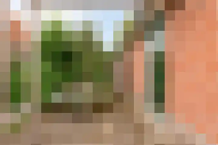 Steigerdijk 11 12 Ooltgensplaat thumbnail 29