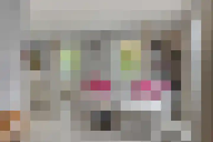 Steigerdijk 11 12 Ooltgensplaat thumbnail 9