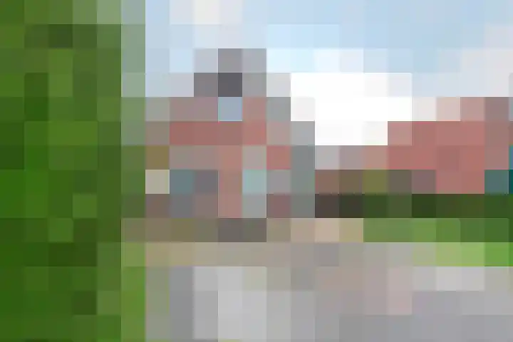 Steigerdijk 11 60 Ooltgensplaat thumbnail 24