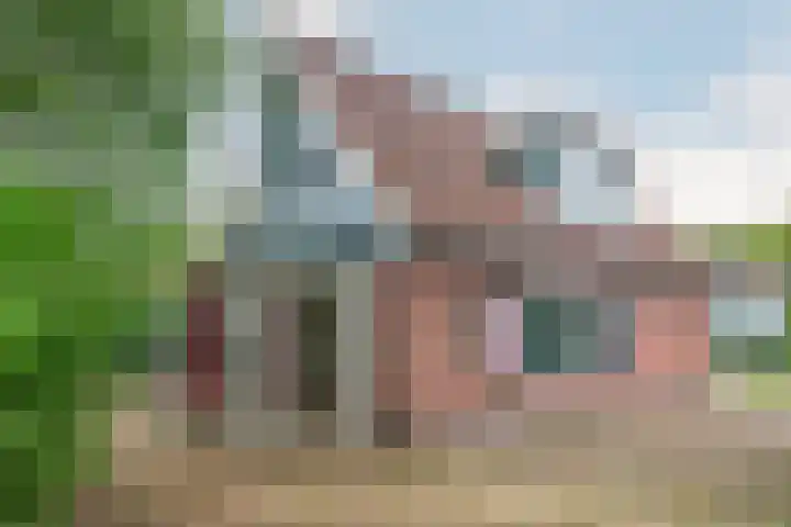 Steigerdijk 11 60 Ooltgensplaat thumbnail 5