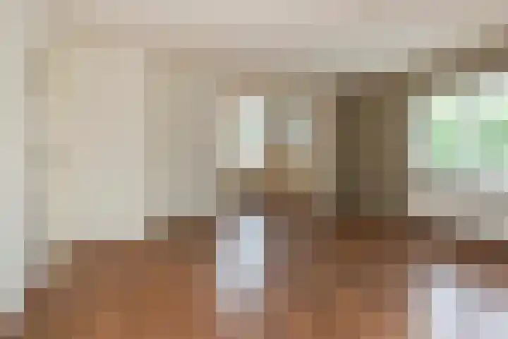 Steigerdijk 11 60 Ooltgensplaat thumbnail 9