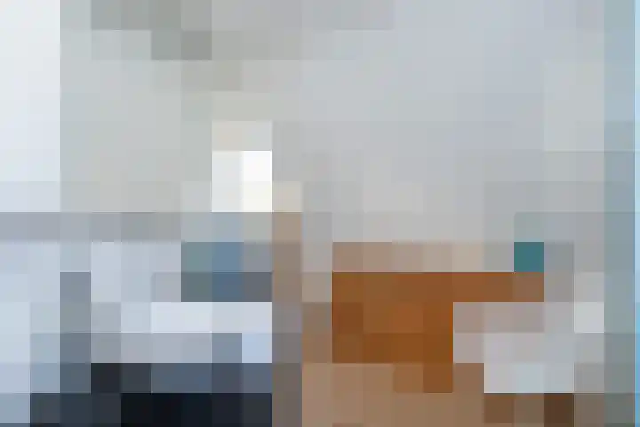 Steigerdijk 11 90 Ooltgensplaat thumbnail 22